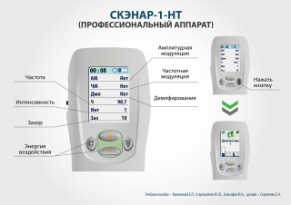 СКЭНАР-1-НТ (исполнение 01)  в Магадане купить Медицинский интернет магазин - denaskardio.ru 